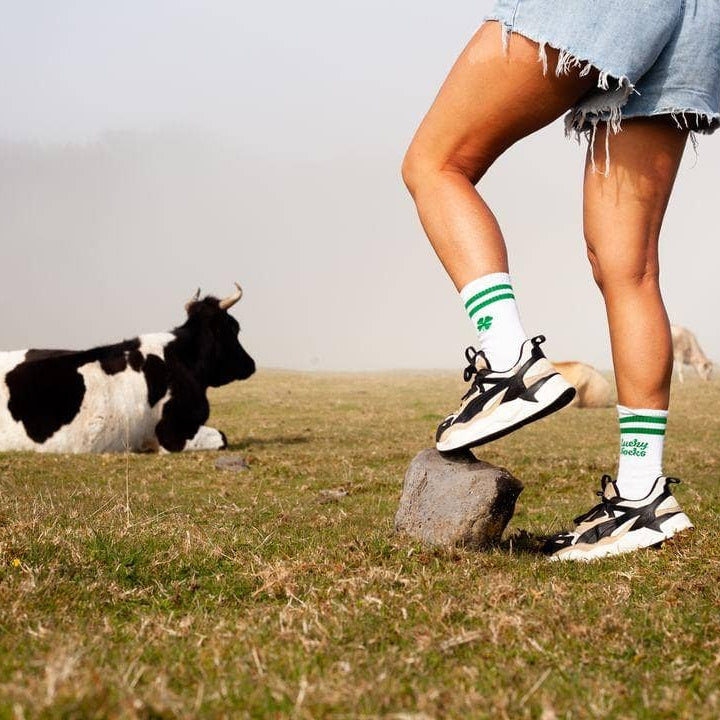 Lucky Socks