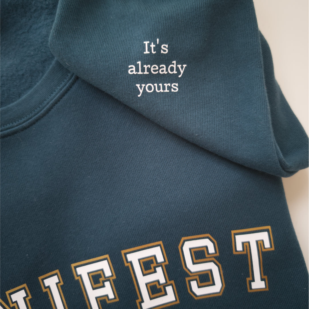 MANIFEST sweatshirt ✨